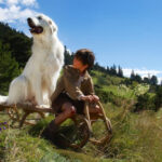 «Белль и Себастьян: Приключения продолжаются»: Мальчик на границе и его собака