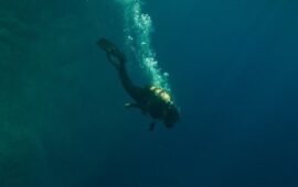 «Подводный капкан»: Рецензия Киноафиши