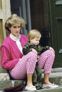 🔁🖼 Принцесса Диана и принц Гарри, 1986 год History HUB