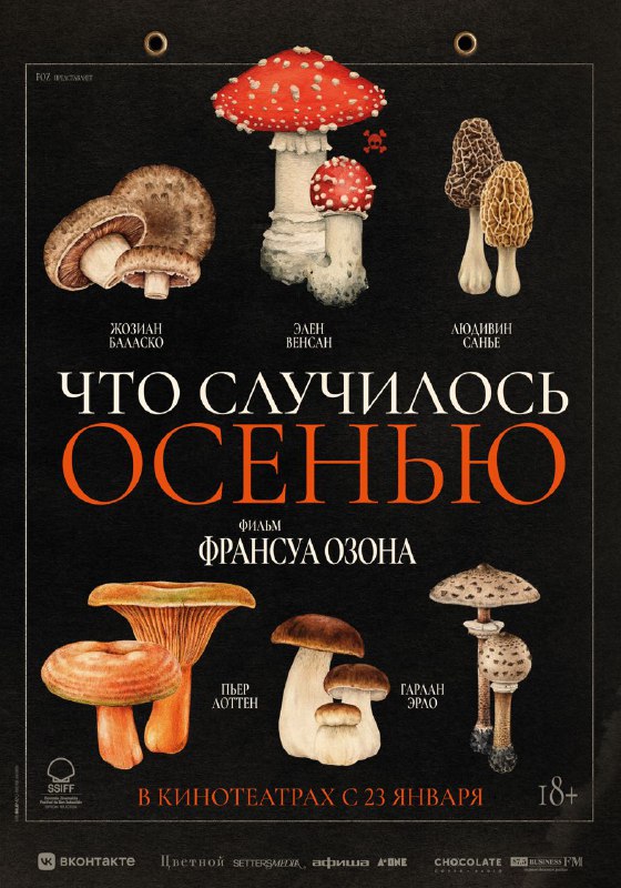 🖼 Делимся постером нового фильма Франсуа Озона «Что случилось осенью», выпустим ...